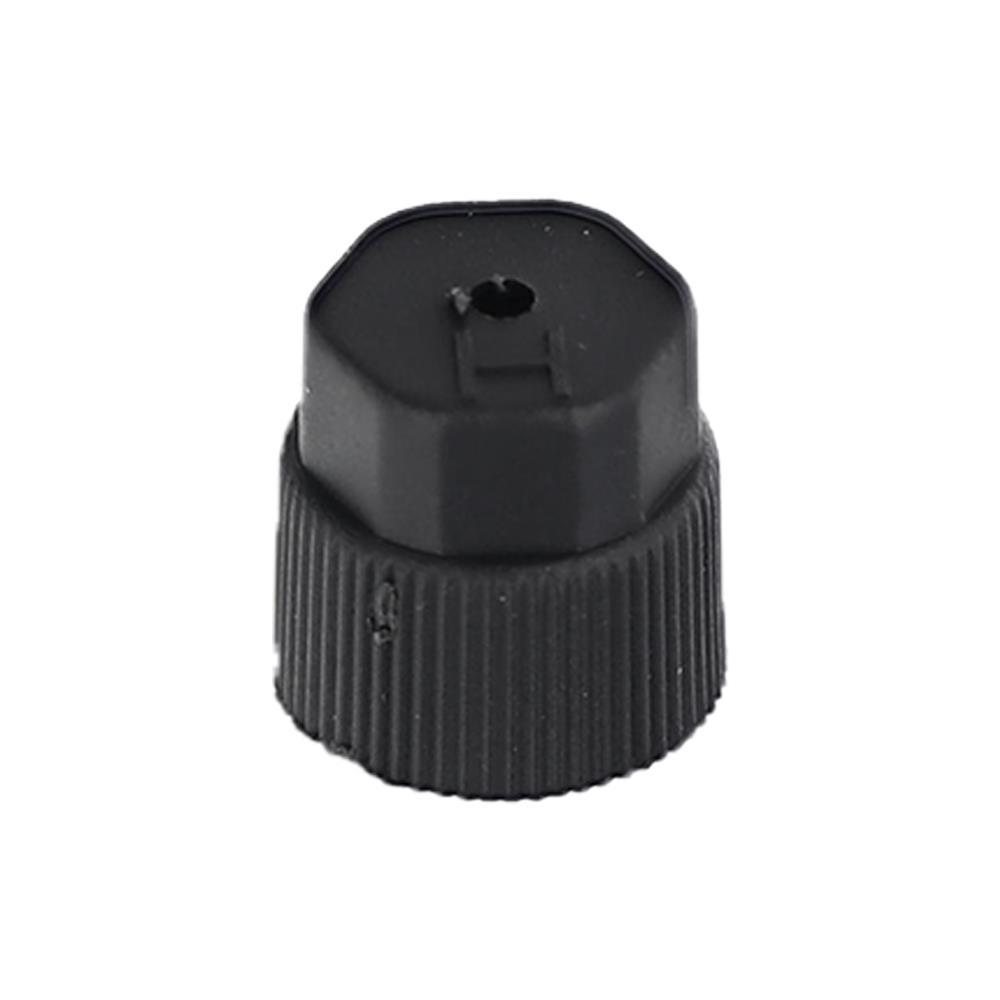 1994-95 F-150 SVT Lightning HVAC Charging Port & Valve Cap Kit