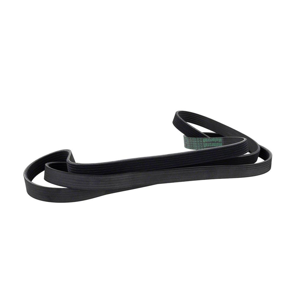 2010-14 F-150 Raptor Motorcraft Serpentine Belt 6.2