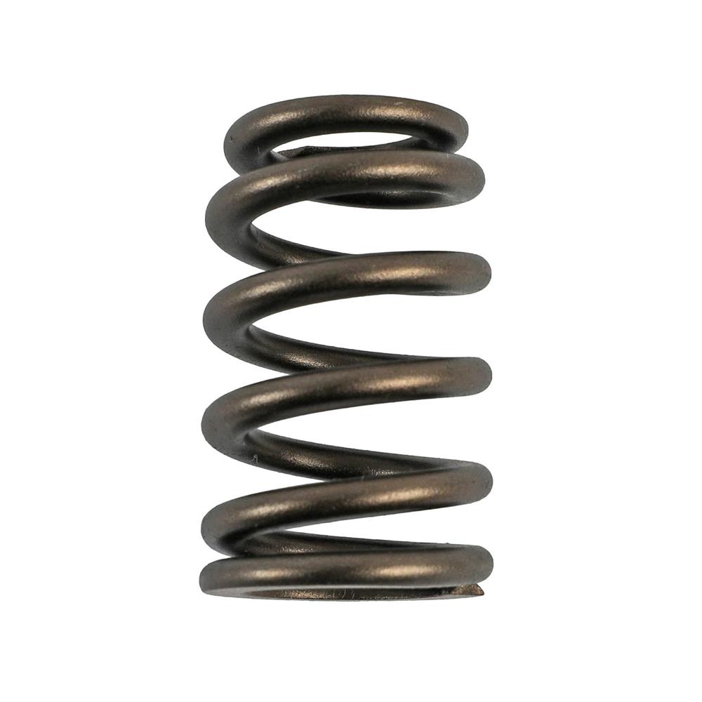 1996-04 Mustang Comp Cams Beehive Valve Springs 4.6 4V