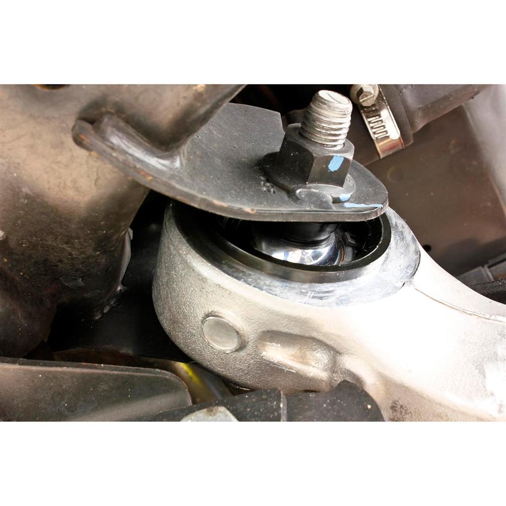 2015-26 Mustang BMR Rear Lower Control Arm Bearing Kit  - Premium