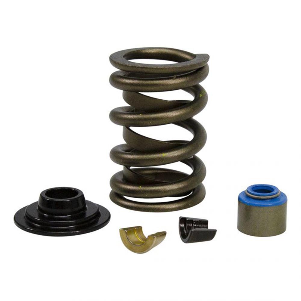 1979-95 Mustang Comp Camps Valve Spring Upgrade Kit - GT40/GT40P 5.0/5.8