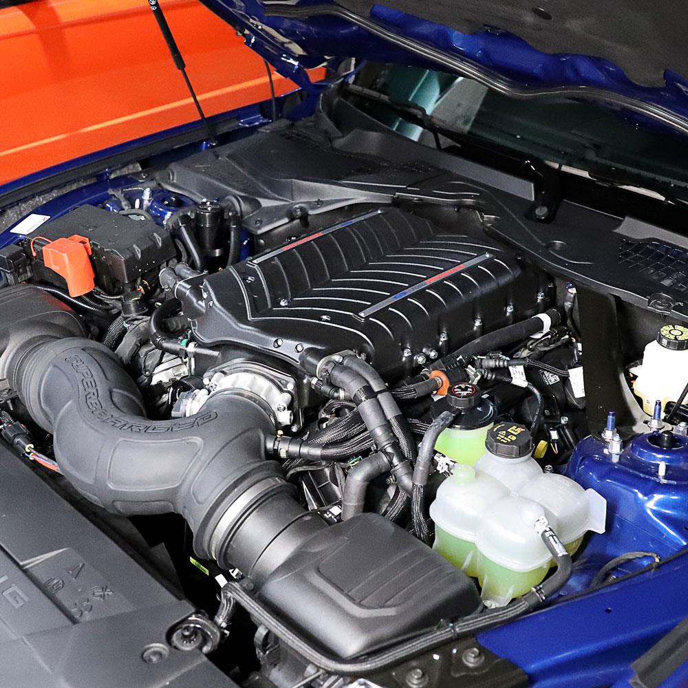 Ford Performance Mustang Supercharger Kit (24-25) 5.0 M-6066-M8800