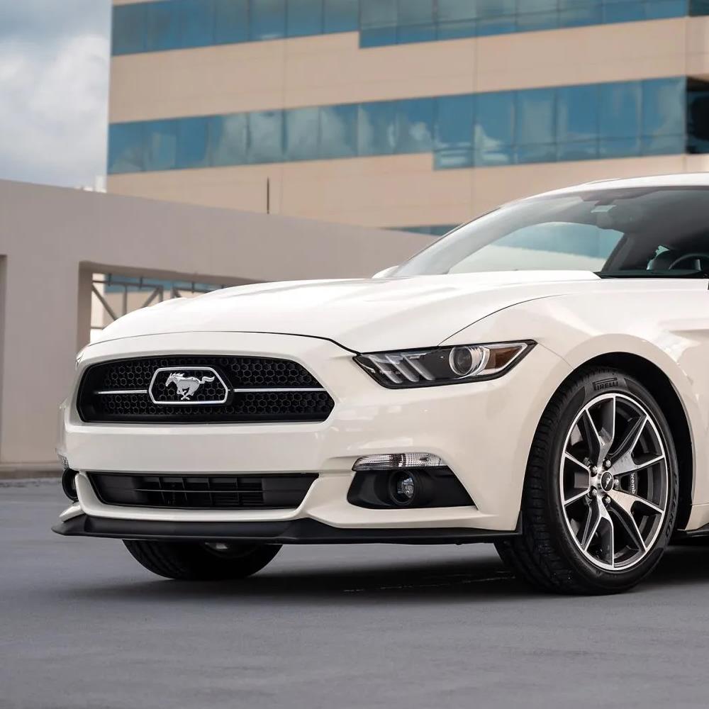 2015-17 Mustang 50th Anniversary Lower Grille