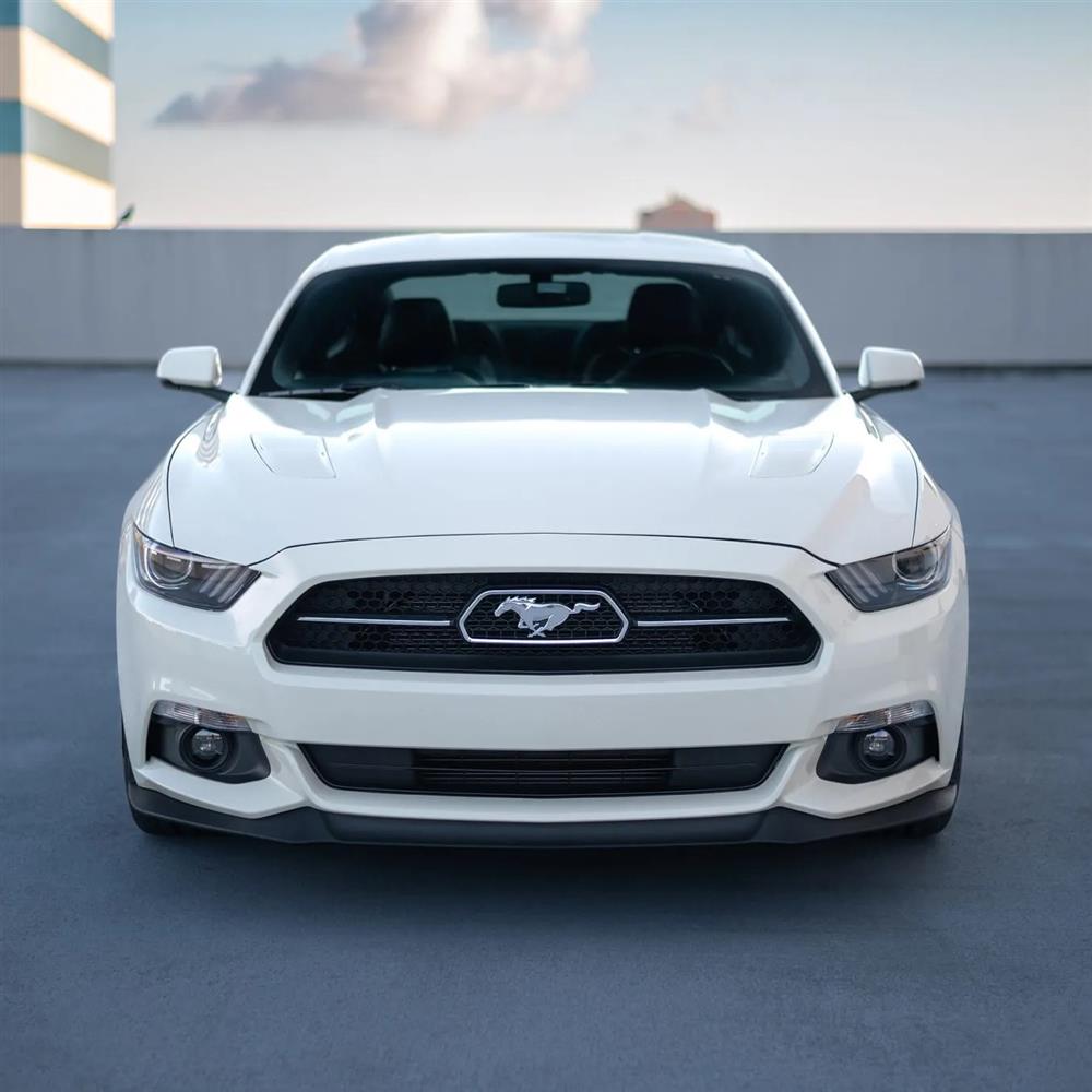 2015-17 Mustang 50th Anniversary Lower Grille
