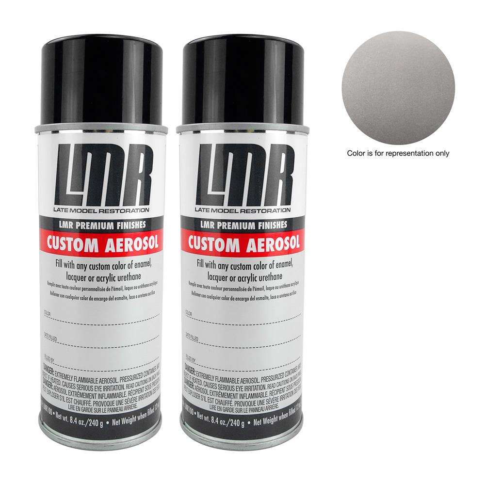 1979-2004 Mustang Argent Silver Paint Kit