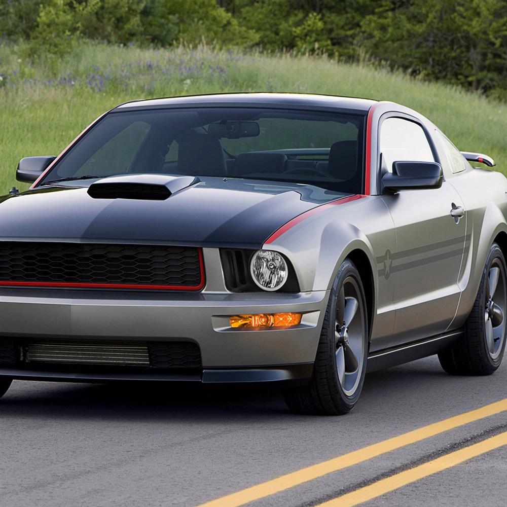 2005-09 Mustang Halo Headlights  - Black