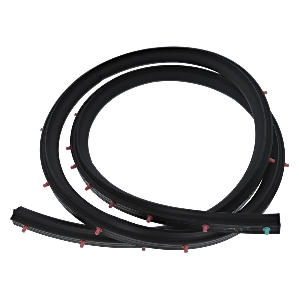 2015-2023 Mustang Lower Door Weatherstrip - Door Side - LH