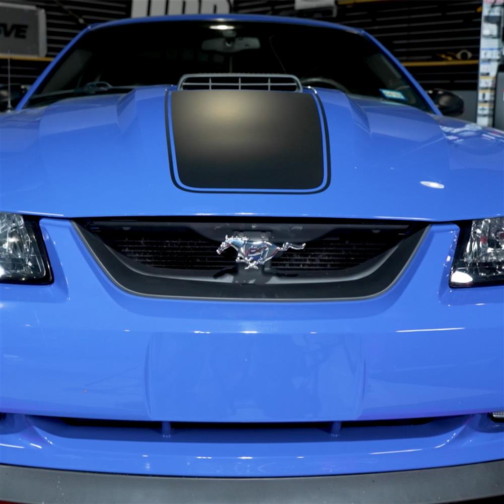 1999-04 Mustang Mach 1 Front Grille Filler Panel