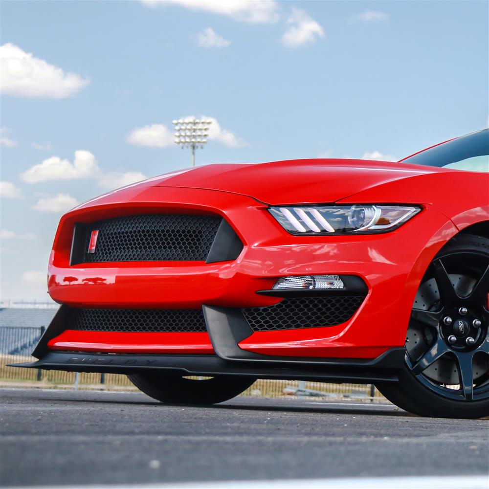 2016-20 Mustang Shelby GT350 Lower Grille - LH