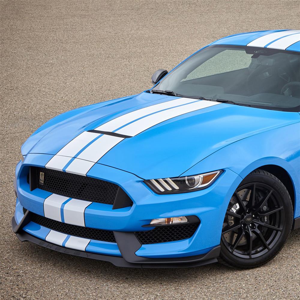 2016-20 Mustang Shelby GT350 Lower Grille - LH