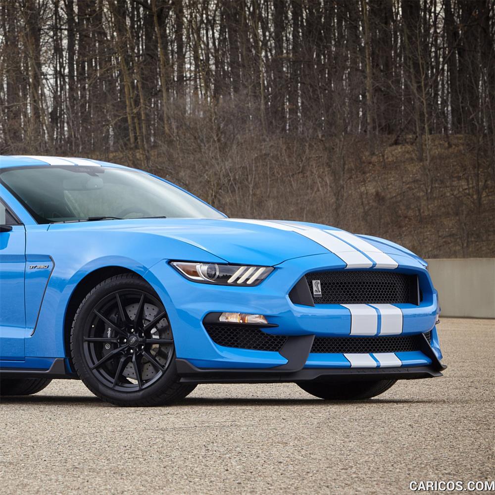2016-20 Mustang Shelby GT350 Upper Grille