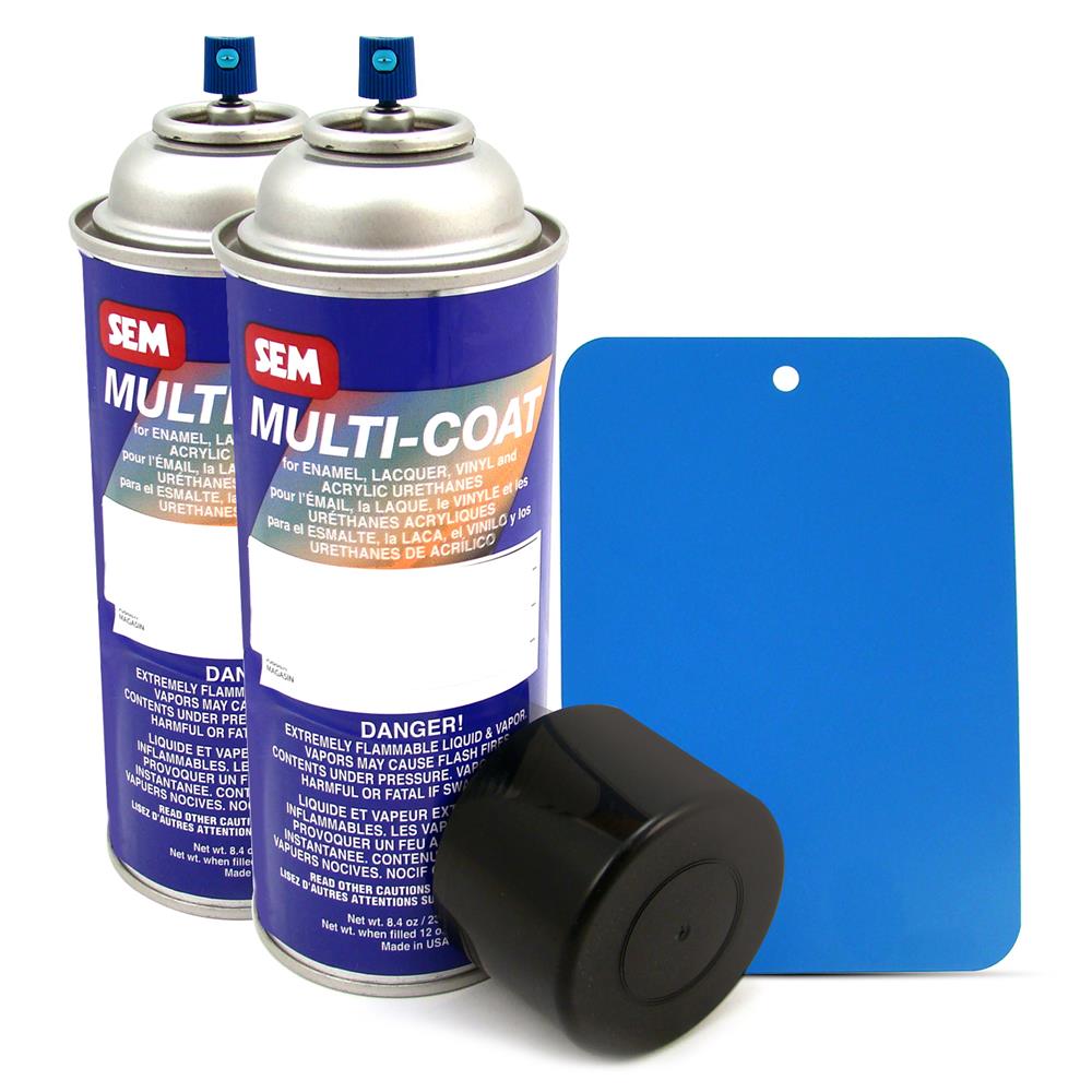 Mustang Satin Blue Valve Cover Paint Kit