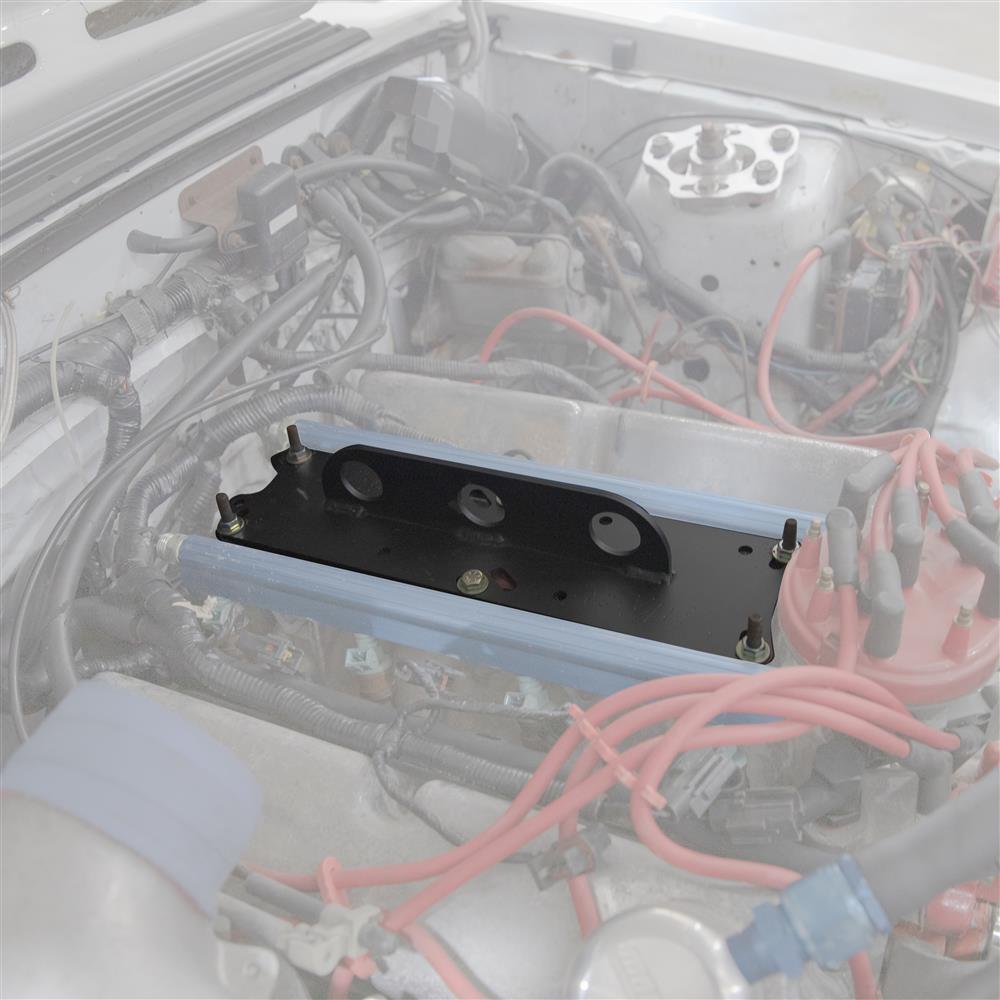 ALL-10125 | Engine Lift Plate Ford 5.0L/5.8L Efi Int :: LJRC