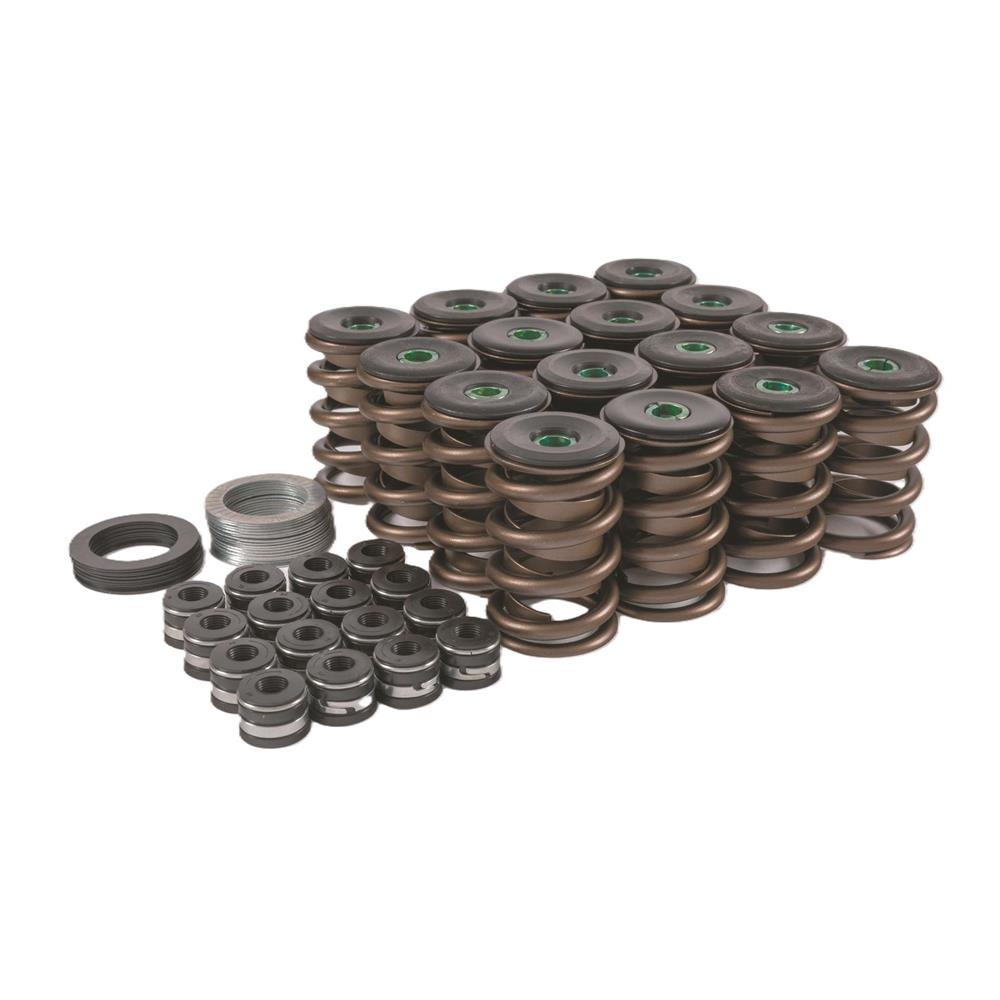 1979-1995 Mustang 5.0/5.8 Trick Flow Valve Spring Upgrade Kit - OE Style Cast Iron Head